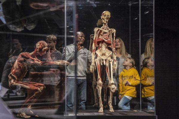 Dr. Gunther von Hagens’ world-renowned exhibition BODY WORLDS