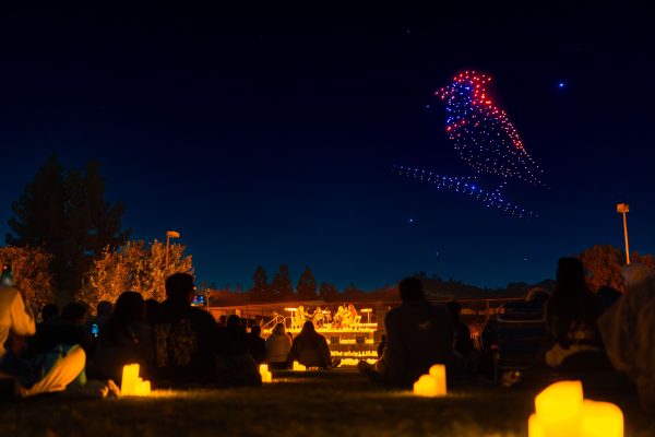 DroneArt Show Brisbane